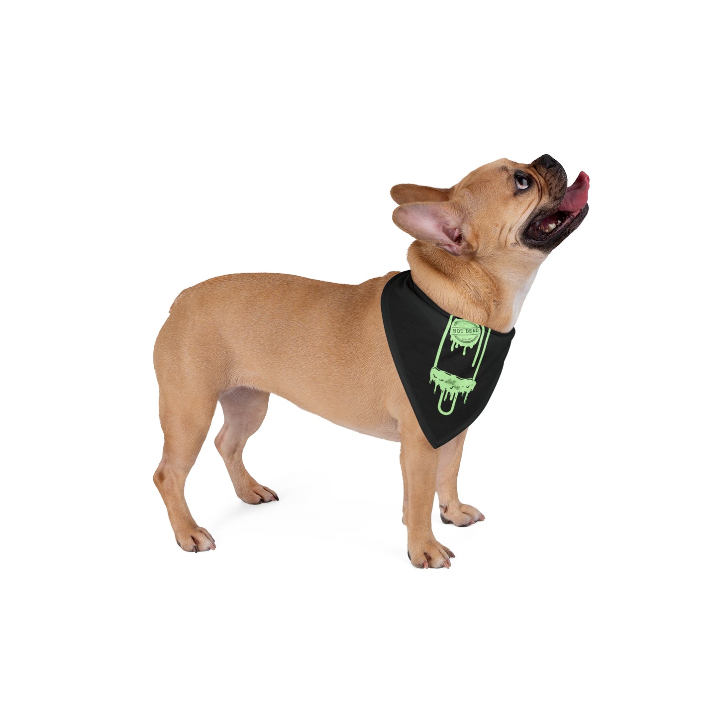 Pet Bandana - Melt